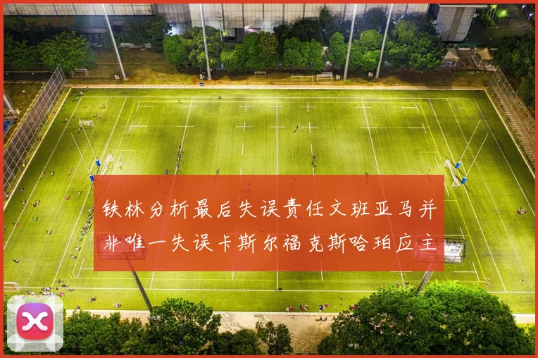 铁林分析最后失误责任文班亚马并非唯一失误卡斯尔福克斯哈珀应主动接球